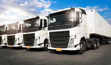 LKW Ankauf Groß-Gerau